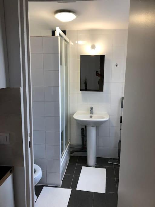 Super Appartement Pre De Disney. 谢西 外观 照片